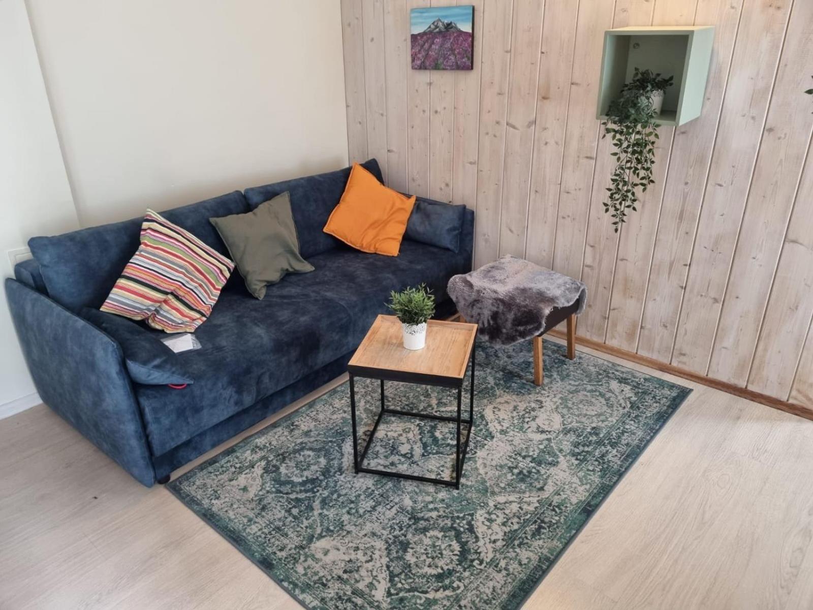 Igo Apartment Townhall VNO Kültér fotó